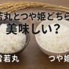 雪若丸　つや姫　どちらが　美味しい