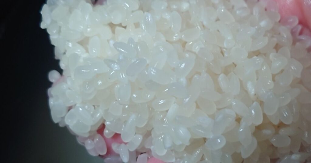 青森県産まっしぐら　米の手触りは「まろやか」