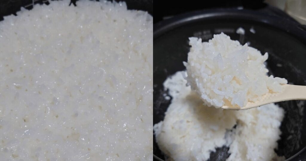著者レビュー｜実際に炊いてわかったリアルな味と食感を徹底レポート