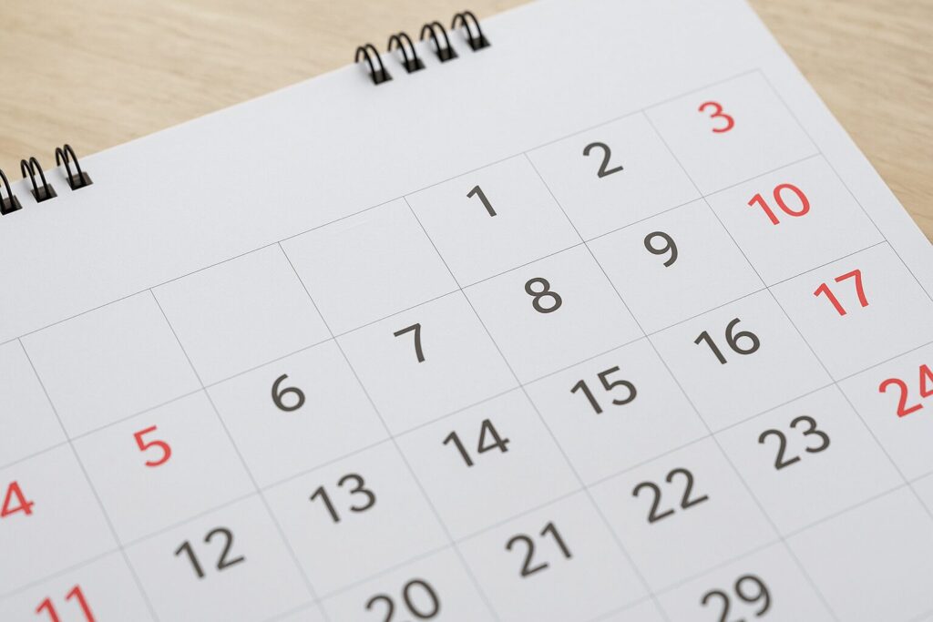 販売時期はいつ？