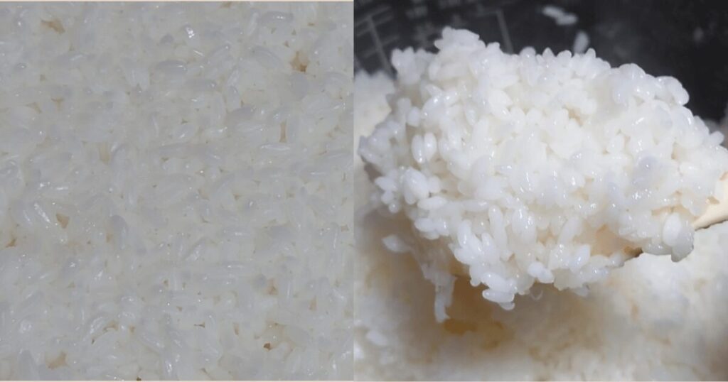 マンナンヒカリを実際に食べてみた私のレビュー