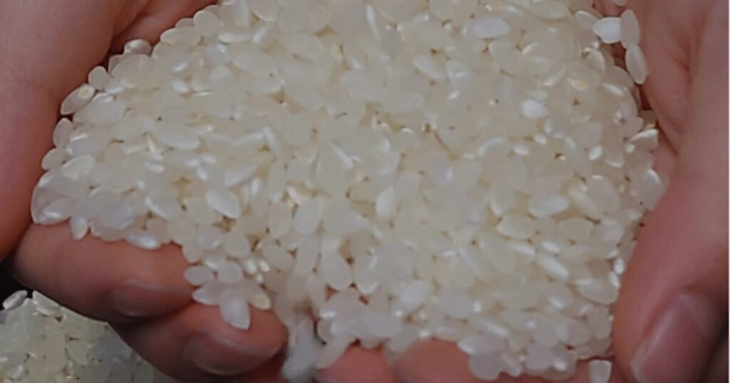 実際に食べて検証してみた！