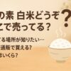 味の素　白米どうぞ　どこで売ってる