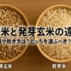 胚芽米と発芽玄米の違い