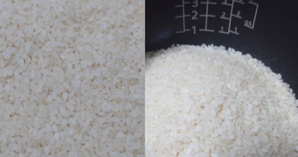 食感は?北海道在住者が実食レビュー!