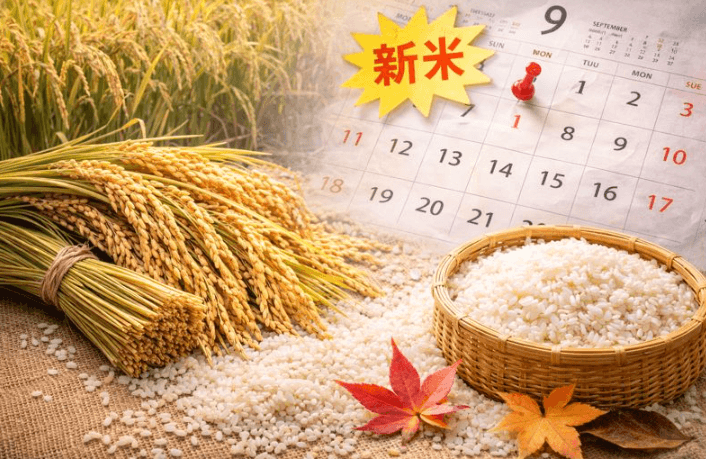 新米はいつ出る？発売時期と狙い目