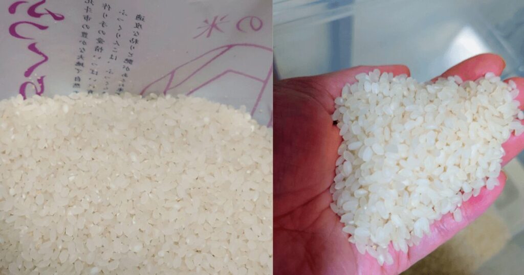 ふっくりんこ食べてみた！感想と味の特徴