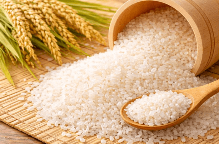 どんなお米？品種の特徴