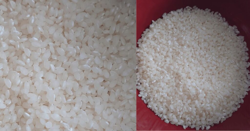 龍の瞳は本当にまずい?実際に食べて検証してみた