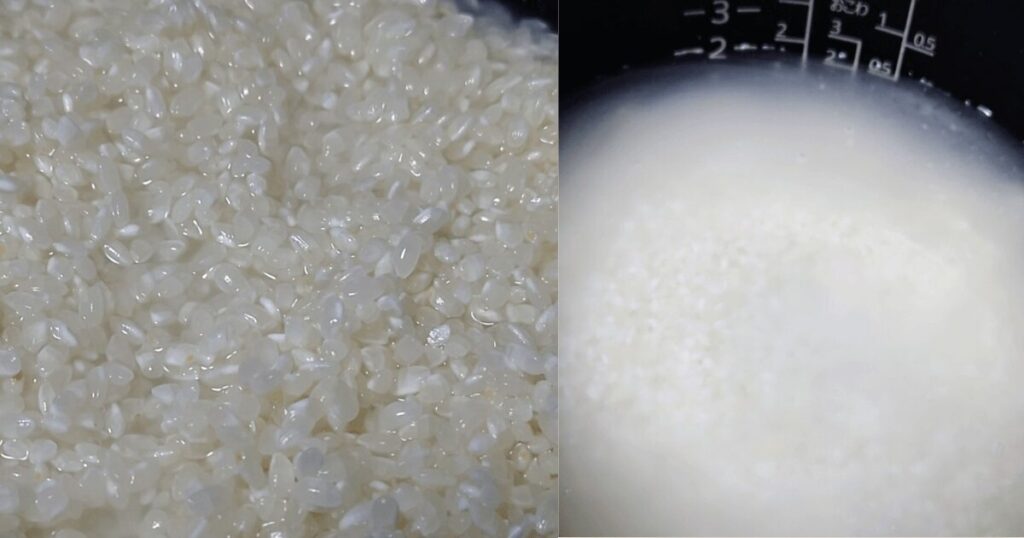 龍の瞳は本当にまずい?実際に食べて検証してみた