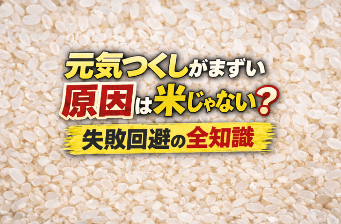 元気つくし　まずい