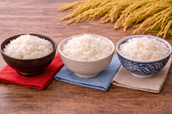 九州ブランド米との比較