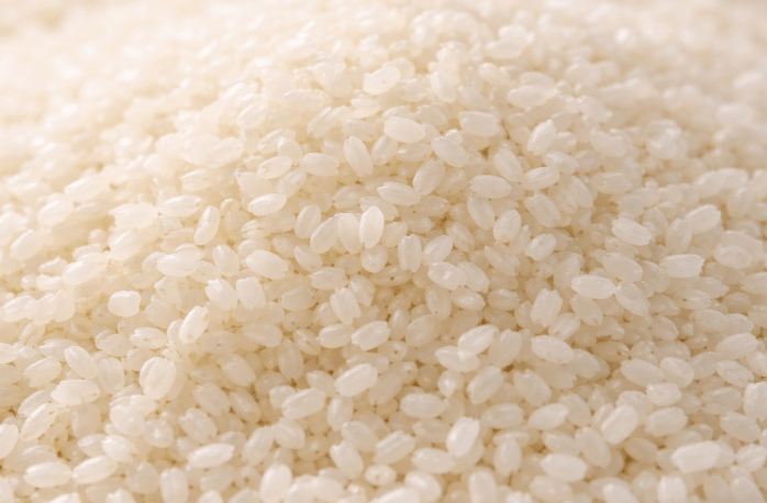 販売時期はいつ？新米・流通・実体験を解説