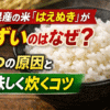 はえぬき　米　まずい