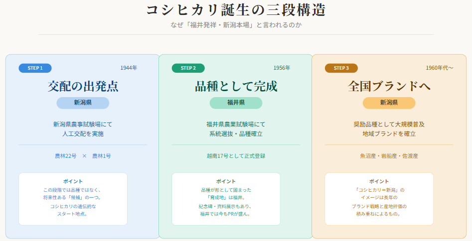 福井発祥と新潟定着の違い