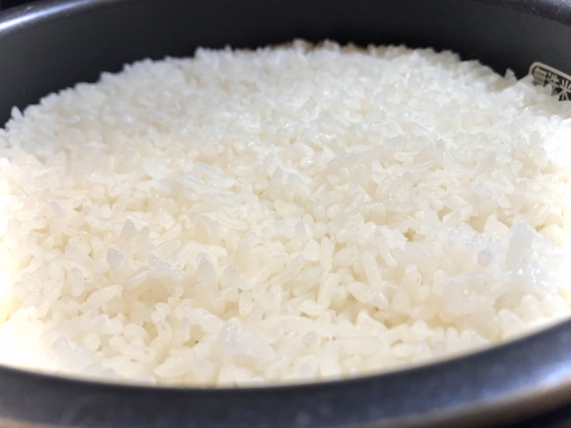 ガス炊飯器のパロマとリンナイ比較で選び方を解説