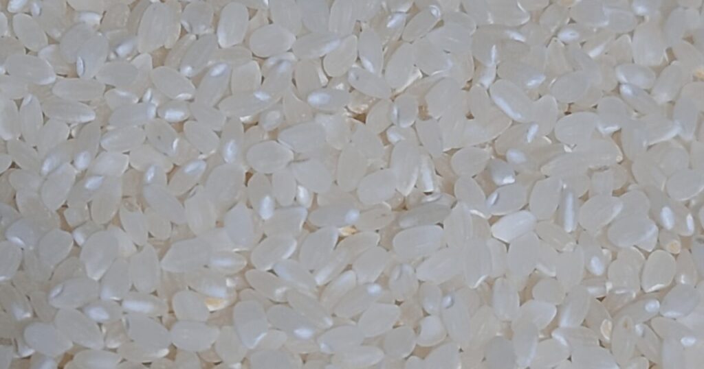 【実食レビュー】味はまずい？実際に食べてみた