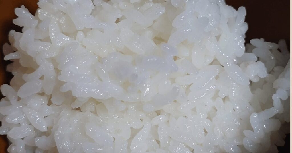 サツドラ北海道のお米を炊いた、ツヤのあるふっくらもちもちのご飯のアップ