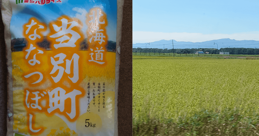 北海道当別町産ななつぼし5kgの米袋と北海道の田園風景