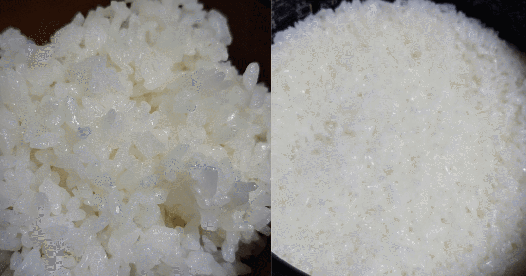 炊き上がった新潟県産コシヒカリの粒立ちと炊飯器の中のご飯