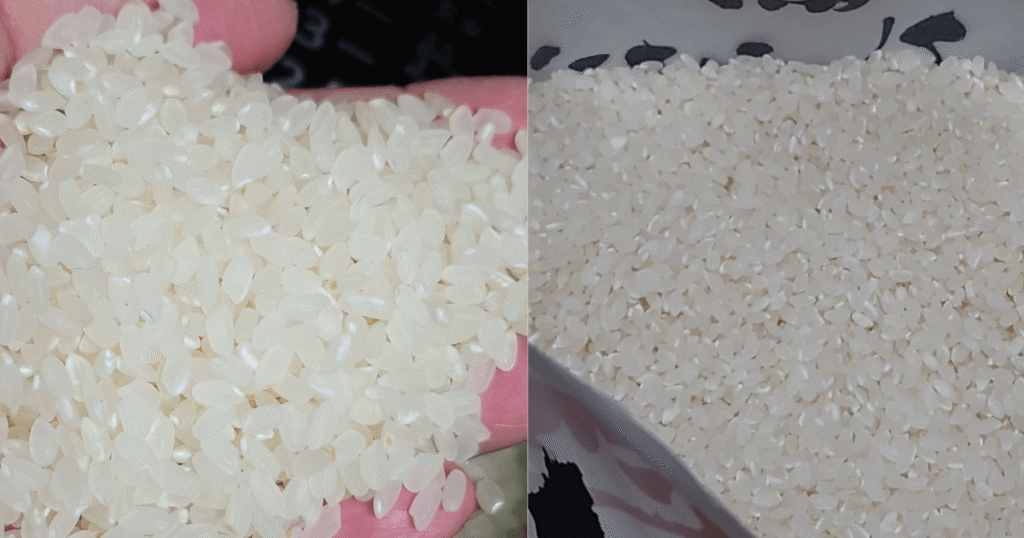 炊飯前の新潟県産コシヒカリを手に載せた様子と容器の白米