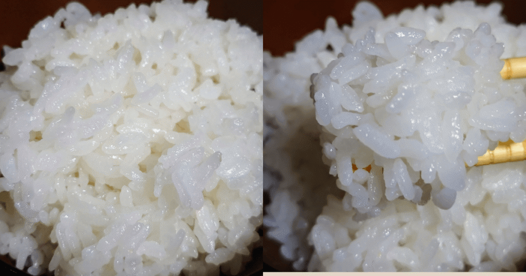 新潟県産新之助の粒立ちとツヤがわかる炊きたてご飯