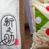 新之助とつや姫の米袋を並べて比較した画像