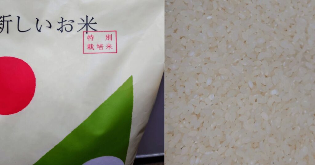 山形県産つや姫の特別栽培米表示と炊飯前の米粒