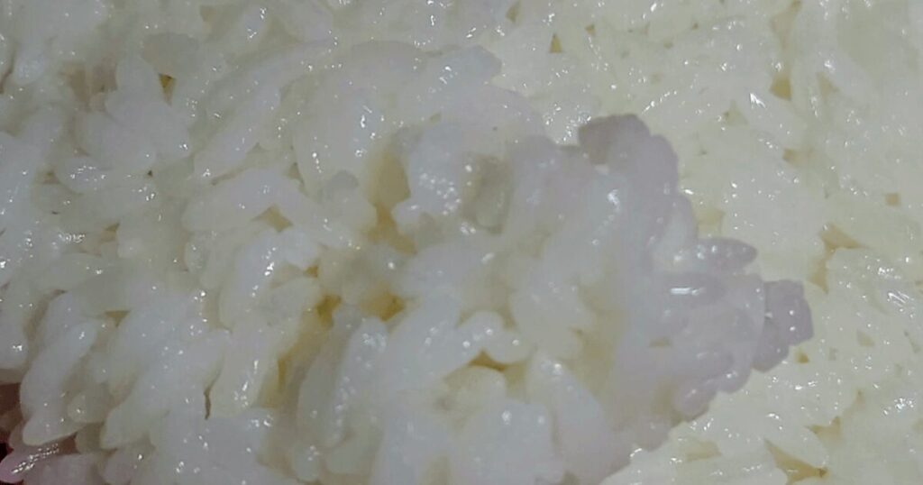 冷めた雪若丸の白い米粒と表面のツヤを確認した様子