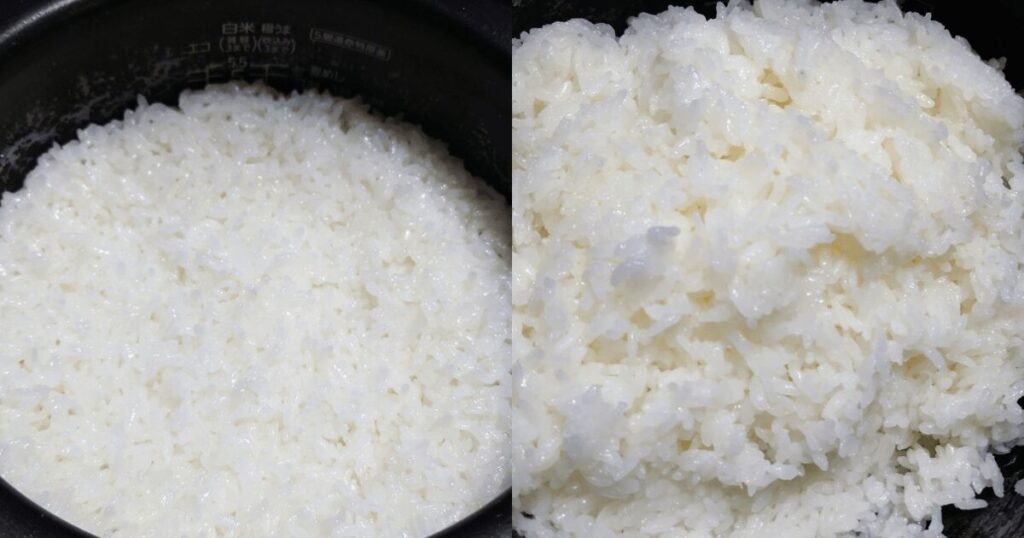 炊飯器で炊き上がった雪若丸とほぐした白ご飯のつやや粒立ち