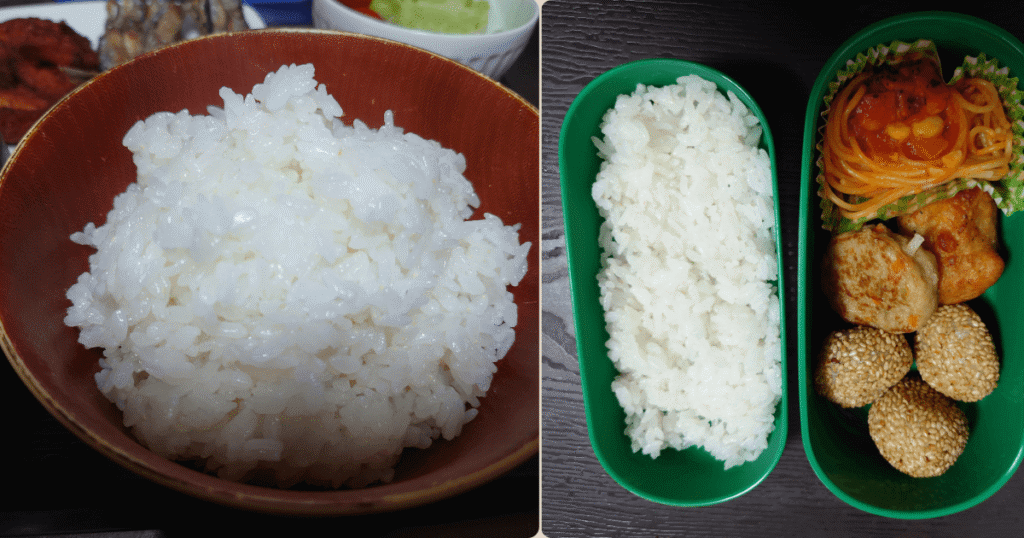 炊きたての北海道産ゆめぴりかを盛った茶碗と翌日のお弁当ご飯