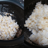 玄米と白米を混ぜて炊いたご飯の割合による炊き上がりの違いを比較