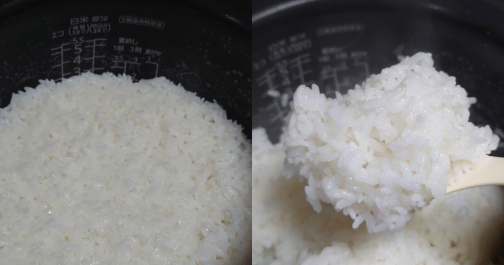 炊飯器で炊いたきらら397としゃもじですくった炊き上がり
