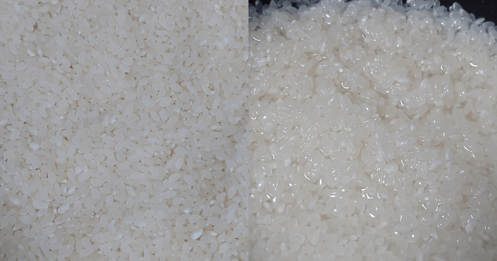 きらら397の生米と炊飯前に水を加えた状態