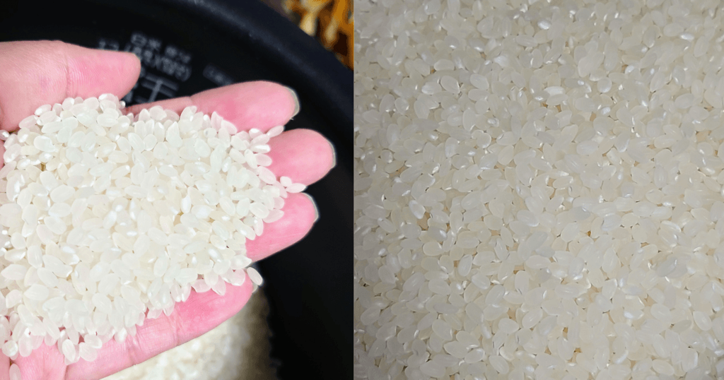 炊飯前のつきあかりの米粒を手に取って確認した様子