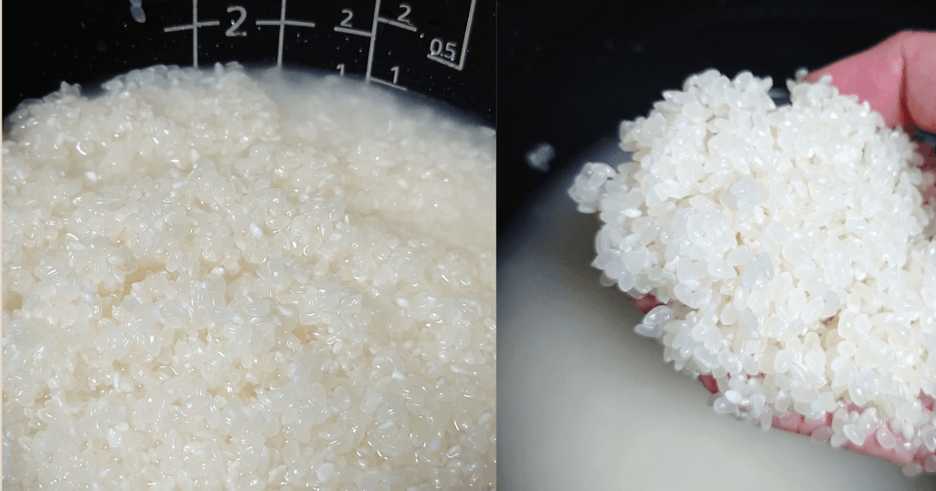 炊飯器の内釜で水に浸かった銀河のしずくと手にすくった濡れた米粒