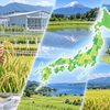 稲穂を調べる研究者と日本各地の水田風景を組み合わせたにじのきらめきの育成イメージ