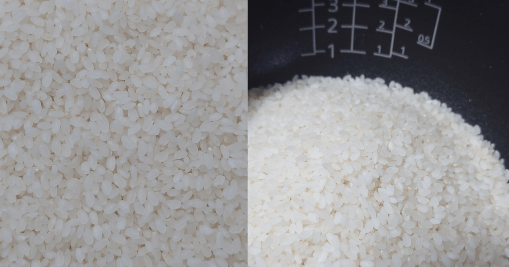 炊飯前のおぼろづきの米粒と炊飯器の内釜に入れた白米