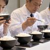 白衣を着た評価員が炊きたての白米の香りや食感を確認する食味官能試験のイメージ